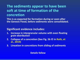 The sediments appear to have been
soft at time of formation of the
concretion
This is as expected for formation during or soon after
the Genesis Flood, before sediments were consolidated.
Significant evidence includes:
1. Increase in intergranular volume with even floating
grain distribution
2. Collapse of a concretion (See Fig. 5b © in Roth, et
al., 2019)
3. Lineation in concretions from sliding of sediments
Details follow
 