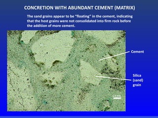 CONCRETION WITH ABUNDANT CEMENT (MATRIX)
The sand grains appear to be “floating” in the cement, indicating
that the host grains were not consolidated into firm rock before
the addition of more cement.
Cement
Silica
(sand)
grain
0.1 mm
 
