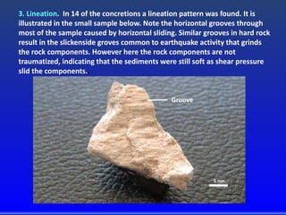 5 mm
3. Lineation. In 14 of the concretions a lineation pattern was found. It is
illustrated in the small sample below. Note the horizontal grooves through
most of the sample caused by horizontal sliding. Similar grooves in hard rock
result in the slickenside groves common to earthquake activity that grinds
the rock components. However here the rock components are not
traumatized, indicating that the sediments were still soft as shear pressure
slid the components..
Groove
 