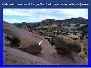 Carbonate concretion at Navajo Church with protrusions on its side (arrow).
 