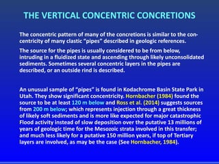 THE VERTICAL CONCENTRIC CONCRETIONS
The concentric pattern of many of the concretions is similar to the con-
centricity of many clastic “pipes” described in geologic references.
The source for the pipes is usually considered to be from below,
intruding in a fluidized state and ascending through likely unconsolidated
sediments. Sometimes several concentric layers in the pipes are
described, or an outside rind is described.
An unusual sample of “pipes” is found in Kodachrome Basin State Park in
Utah. They show significant concentricity. Hornbacher (1984) found the
source to be at least 120 m below and Ross et al. (2014) suggests sources
from 200 m below; which represents injection through a great thickness
of likely soft sediments and is more like expected for major catastrophic
Flood activity instead of slow deposition over the putative 13 millions of
years of geologic time for the Mesozoic strata involved in this transfer;
and much less likely for a putative 150 million years, if top of Tertiary
layers are involved, as may be the case (See Hornbacher, 1984).
 