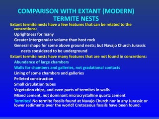 COMPARISON WITH EXTANT (MODERN)
TERMITE NESTS
Extant termite nests have a few features that can be related to the
concretions:
Uprightness for many
Greater intergranular volume than host rock
General shape for some above ground nests; but Navajo Church Jurassic
nests considered to be underground
Extant termite nests have many features that are not found in concretions:
Abundance of large chambers
Walls for chambers and galleries, not gradational contacts
Lining of some chambers and galleries
Pelleted construction
Small circulation tubes
Vegetation chips, and even parts of termites in walls
Mixed cement, not dominant microcrystalline quartz cement
Termites! No termite fossils found at Navajo Church nor in any Jurassic or
lower sediments over the world! Cretaceous fossils have been found.
 