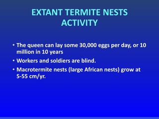 EXTANT TERMITE NESTS
ACTIVITY
• The queen can lay some 30,000 eggs per day, or 10
million in 10 years
• Workers and soldiers are blind.
• Macrotermite nests (large African nests) grow at
5-55 cm/yr.
 