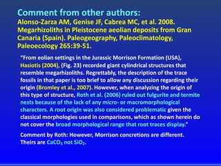 Comment from other authors:
Alonso-Zarza AM, Genise JF, Cabrea MC, et al. 2008.
Megarhizoliths in Pleistocene aeolian deposits from Gran
Canaria (Spain). Paleogeography, Paleoclimatology,
Paleoecology 265:39-51.
“From eolian settings in the Jurassic Morrison Formation (USA),
Hasiotis (2004), (Fig. 23) recorded giant cylindrical structures that
resemble megarhizoliths. Regrettably, the description of the trace
fossils in that paper is too brief to allow any discussion regarding their
origin (Bromley et al., 2007). However, when analyzing the origin of
this type of structure, Roth et al. (2006) ruled out fulgurite and termite
nests because of the lack of any micro- or macromorphological
characters. A root origin was also considered problematic given the
classical morphologies used in comparisons, which as shown herein do
not cover the broad morphological range that root traces display.”
Comment by Roth: However, Morrison concretions are different.
Theirs are CaCO3 not SiO2.
 