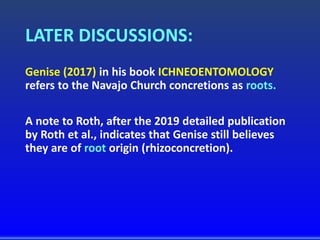 LATER DISCUSSIONS:
Genise (2017) in his book ICHNEOENTOMOLOGY
refers to the Navajo Church concretions as roots.
A note to Roth, after the 2019 detailed publication
by Roth et al., indicates that Genise still believes
they are of root origin (rhizoconcretion).
 