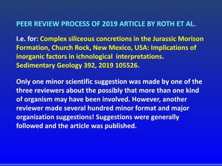 PEER REVIEW PROCESS OF 2019 ARTICLE BY ROTH ET AL.
I.e. for: Complex siliceous concretions in the Jurassic Morison
Formation, Church Rock, New Mexico, USA: Implications of
inorganic factors in ichnological interpretations.
Sedimentary Geology 392, 2019 105526.
Only one minor scientific suggestion was made by one of the
three reviewers about the possibly that more than one kind
of organism may have been involved. However, another
reviewer made several hundred minor format and major
organization suggestions! Suggestions were generally
followed and the article was published.
 