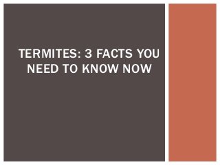 TERMITES: 3 FACTS YOU
NEED TO KNOW NOW
 