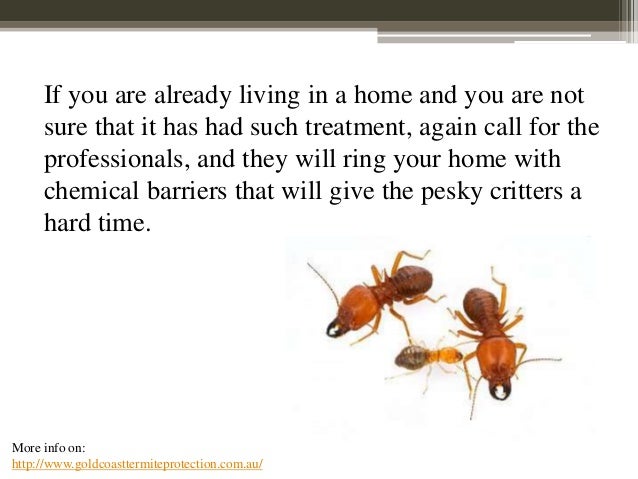 Termites Can Destroy A Home - Get Protection From Them