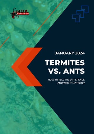 TERMITES
VS. ANTS
JANUARY 2024
HOW TO TELL THE DIFFERENCE
AND WHY IT MATTERS?
 