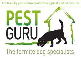 Eco friendly pest control protection against pests & termite
 