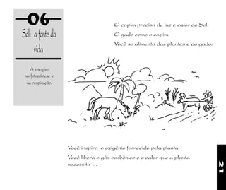 21
06
Sol: afonteda
vida
A energia:
na fotossíntese e
na respiração.
O capim precisa de luz e calor do Sol.
O gado come o capim.
Você se alimenta das plantas e do gado.
Você inspira o oxigênio fornecido pela planta.
Você libera o gás carbônico e o calor que a planta
necessita ...
 