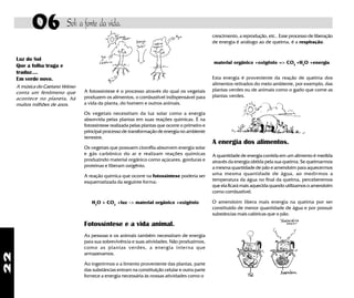 22
06 Sol: a fonte da vida.
crescimento, a reprodução, etc.. Esse processo de liberação
de energia é análogo ao de queima, é a respiração.
material orgânico +oxigênio => CO2
+H2
O +energia
Luz do Sol
Que a folha traga e
traduz....
Em verde novo.
A música do Caetano Veloso
conta um fenômeno que
acontece no planeta, há
muitos milhões de anos.
A fotossíntese é o processo através do qual os vegetais
produzem os alimentos, o combustível indispensável para
a vida da planta, do homem e outros animais.
Os vegetais necessitam da luz solar como a energia
absorvida pelas plantas em suas reações químicas. É na
fotossíntese realizada pelas plantas que ocorre o primeiro e
principal processo de transformação de energia no ambiente
terrestre.
Os vegetais que possuem clorofila absorvem energia solar
e gás carbônico do ar e realizam reações químicas
produzindo material orgânico como açúcares, gorduras e
proteinas e liberam oxigênio.
A reação química que ocorre na fotossíntese poderia ser
esquematizada da seguinte forma:
H2
O + CO2
+luz -> material orgânico +oxigênio
Fotossíntese e a vida animal.
As pessoas e os animais também necessitam de energia
para sua sobrevivência e suas atividades. Não produzimos,
como as plantas verdes, a energia interna que
armazenamos.
Ao ingerirmos o a limento proveniente das plantas, parte
das substâncias entram na constituição celular e outra parte
fornece a energia necessária às nossas atividades como o
A quantidade de energia contida em um alimento é medida
através da energia obtida pela sua queima. Se queimarmos
a mesma quantidade de pão e amendoim para aquecermos
uma mesma quantidade de água, ao medirmos a
temperatura da água no final da queima, perceberemos
que ela ficará mais aquecida quando utilizamos o amendoim
como combustível.
O amendoim libera mais energia na queima por ser
constituido de menor quantidade de água e por possuir
substâncias mais calóricas que o pão.
Esta energia é proveniente da reação de queima dos
alimentos retirados do meio ambiente, por exemplo, das
plantas verdes ou de animais como o gado que come as
plantas verdes.
A energia dos alimentos.
 