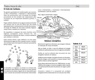 24
O Ciclo do Carbono.
Na grande quantidade de transformações que ocorrem
na Terra a fotossíntese, a respiração e a decomposição
além de promoverem uma circulação da energia
proveniente do Sol também são responsáveis pela
circulação de um importante elemento químico, o
carbono.
O gás carbônico dissolve-se nas águas oceânicas entrando
em contato com os íons de cálcio que vão sendo
depositado lenta e continuamente no fundo dos oceanos.
Ao longo de milhões de anos esses materiais originam
rochas como o calcário ou o mármore.
Os esqueletos e carapaças dos seres marinhos como
lagostas, caranguejos, corais, mariscos, etc., são
constituídos de carbonato de cálcio, a mesma substância
que constitue o mármore.
Esses animais retiram o gás carbônico e os íons cálcio
diretamente da água do mar e quando morrem, também
vão contribuir para a formação de carbonato que poderão
formar rochas.
A atmosfera, os vegetais, os animais e os oceanos são
verdadeiros reservatórios de carbono do nosso planeta
e os átomos de carbono migram de um reservatório para
outro, através dos processos intimamente relacionados
como a fotossíntese, a respiração e decomposição,
constituindo o ciclo do carbono.
Veja a figura apresentada a seguir:
Tabela 6.2
dormir 78kcal/h
ficar
sentado
108kcal/h
assistirà
aulaou
estudar
180kcal/h
trabalhar 180kcal/h
ficarempé 120kcal/h
andar 228kcal/h
Confira se você se alimenta bem do ponto de vista
energético fazendo um balanço.
Verifique quanta energia você gasta durante um dia inteiro.
Quanta energia você consome no mesmo tempo? Você
queima todas as calorias ingeridas?
Certas dietas alimentares fixam em 1500 Calorias ( ou seja,
1500 Kcal de energia) o consumo energético diário visando
uma gradual perda de peso de pessoas com alguns quilos
a mais.
Consulte a tabela 6.1 e proponha um cardápio
energeticamente balanceado de um dia para essa dieta.
Balanço energético.
Diariamente ingerimos alimentos cuja energia é utilizada
na realização de nossas atividades.
Veja na tabela, ao lado, a taxa de utilização de energia
medida em quilocalorias por hora em algumas atividades.
Fontes e trocas de calor. Gref
 