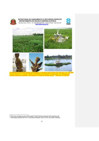 SECRETARIA DE SANEAMENTO E RECURSOS HÍDRICOS 
DEPARTAMENTO DE ÁGUAS E ENERGIA ELÉTRICA 
Rua Boa Vista, 170/175 – Tel. 3293-8200/3293-8201 – CEP 01014-000 - São Paulo-SP 
www.daee.sp.gov.br 
37 
As fotografias acima mostram detalhes de eutrofização no reservatório Salto Grande (UHE Americana), com vista geral 
da área ocupada por E. crassipes. Detalhe da dificuldade de deslocamento de embarcação e em operação para 
remoção mecânica de macrófitas. Preocupação com invasão de mexilhão-dourado. 
32 
Americana, SP, 2003/04. 
33 
32 http://www.comitepcj.sp.gov.br/download/CT-SAM_Plantas-Aquaticas-UHE-Americana.pdf 
33 Informações pessoais do Prof. Dr. Edivaldo Domingues Velini, da FCA da UNESP, Botucatu. 
 