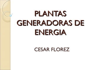 PLANTAS
GENERADORAS DE
    ENERGIA

   CESAR FLOREZ
 