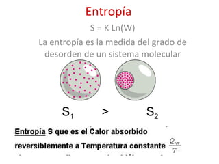 Entropía S = K Ln(W) La entropía es la medida del grado de desorden de un sistema molecular S 1  >  S 2 