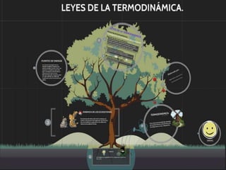Termodinámica Y Dinámica de los ecosistemas. 