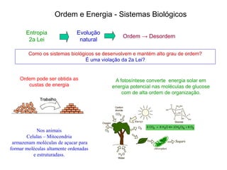 Ordem e Energia - Sistemas Biológicos
Entropia
2a Lei
Evolução
natural
Ordem → Desordem
Como os sistemas biológicos se desenvolvem e mantém alto grau de ordem?
É uma violação da 2a Lei?
Ordem pode ser obtida as
custas de energia
A fotosíntese converte energia solar em
energia potencial nas moléculas de glucose
com de alta ordem de organização.
Nos animais
Celulas – Mitocondria
armazenam moléculas de açucar para
formar moléculas altamente ordenadas
e estruturadass.
 