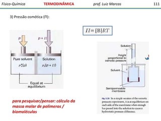 Físico-Química

TERMODINÂMICA

3) Pressão osmótica (Π):

para pesquisar/pensar: cálculo da
massa molar de polímeros /
biomoléculas

prof. Luiz Marcos

111

 