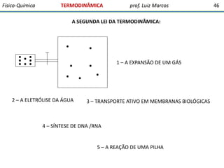 Físico-Química

TERMODINÂMICA

prof. Luiz Marcos

A SEGUNDA LEI DA TERMODINÂMICA:

1 – A EXPANSÃO DE UM GÁS

2 – A ELETRÓLISE DA ÁGUA

3 – TRANSPORTE ATIVO EM MEMBRANAS BIOLÓGICAS

4 – SÍNTESE DE DNA /RNA

5 – A REAÇÃO DE UMA PILHA

46

 