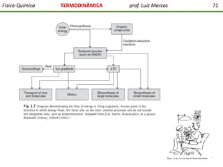 Físico-Química

TERMODINÂMICA

prof. Luiz Marcos

71

 