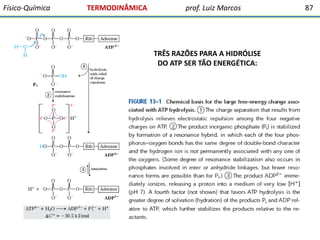 Físico-Química

TERMODINÂMICA

prof. Luiz Marcos

TRÊS RAZÕES PARA A HIDRÓLISE
DO ATP SER TÃO ENERGÉTICA:

87

 
