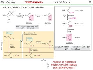 Físico-Química

TERMODINÂMICA

prof. Luiz Marcos

OUTROS COMPOSTOS RICOS EM ENERGIA:

PORQUE OS TIOÉSTERES
POSSUEM MAIOR ENERGIA
LIVRE DE HIDRÓLISE???

88

 