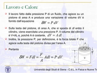 Lavoro e Calore


Il lavoro fatto dalla pressione P di un fluido, che agisce su un
pistone di area A e produce una variazione di volume dV è
fornito dall’equazione

δW = P dV







Sulla testa del pistone, di area A, che si sposta di dl entro il
cilindro, viene esercitata una pressione P. Il volume del cilindro
è V=AL e, poiché A è costante, dV = A dl .
Inoltre, la pressione P, per definizione, è la forza totale F che
agisce sulla testa del pistone divisa per l’area A.
P
Pertanto

F
δW = Fdl = Adl = P dV
A

dl
l

V

Università degli Studi di Siena - C.d.L. in Fisica e Nuove Te

 