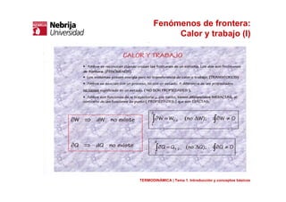 Fenómenos de frontera:
Calor y trabajo (I)
TERMODINÁMICA | Tema 1. Introducción y conceptos básicos
 
