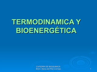 TERMODINAMICA Y BIOENERGÉTICA CATEDRA DE BIOQUIMICA  Brom. Maria del Pilar Cornejo 