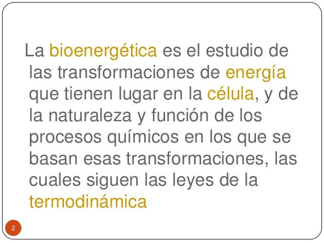 Termodinamica y bioenergetica