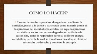COMO LO HACEN?
• Los nutrientes incorporados al organismo mediante la
nutrición, pasan a la célula y participan como materia prima en
los procesos del metabolismo celular. En aquellos procesos
catabólicos en los que ocurre degradación oxidativa de
sustancias, como la respiración aerobia, se libera energía
metabólica, parte de la cual se transforma en calor, se eliminan
sustancias de desecho y aumenta la entropía.
 