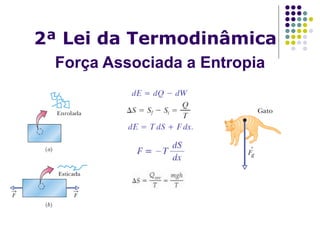 2ª Lei da Termodinâmica
Força Associada a Entropia
 