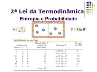 2ª Lei da Termodinâmica
Entropia e Probabilidade
 