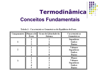Conceitos Fundamentais
Termodinâmica
 