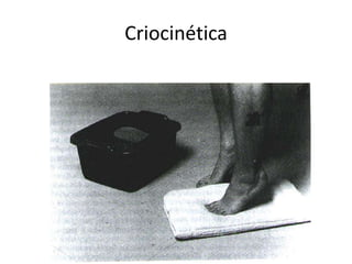 Criocinética