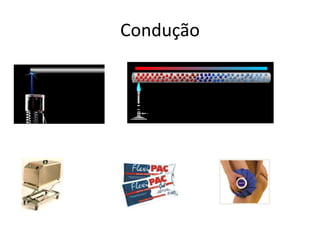 Condução