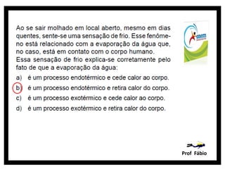 Prof Fábio
 