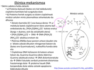 Ekintza-mekanismoa
• Behin odolera heldu delarik:
     • a) Proteina batzuek (batez ere tiol taldedunek)
     cisplatino kantitate bat xurgatuko dute
     • b) Proteina horiek xurgatu ez duten cisplatinoak                     Minbizi-zelula
     minbizi-zelulen mintz plasmatikoa zeharkatuko du
     difusioz
           • Zelulen barneko [Cl- ] oso baxua denez  ur
           molekula batek cisplatinoaren kloro atomo bat
           ordezkatuko du, [Pt(H2O)(NH3)2Cl]+ katioia eratuz
           (karga + duenez, ezin da zeluletatik atera)
           • [Pt(H2O)(NH3)2Cl]+ + DNA  DNA-[Pt(H2O)
           (NH3)2Cl]+ aduktua eratzen da
           • Platinoa DNAko base pareen artean dauden eta
           e- bikote askeak dituzten nitrogenoei batzen da
           (batez ere Guaninadunei), nukleofilia handia dela
           eta
           • Cisplatinoa DNA helizearen bi kateen artean
           lotzen da, Guanina-Guanina edota Adenina-
           Guanina aduktuak eratuz  DNA distortsionatuko
           da  DNAri lotutako zenbait proteinek distortsioa
           hautemango dute  proteina hauek DNA
           konponduko dute edota zelulak apoptosira
                                                         http://www.youtube.com/watch?v=Wq_up2uQRDo
           bideratuko dituzte
 