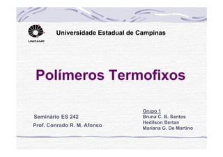 Universidade Estadual de Campinas




Polímeros Termofixos

                                  Grupo 1
Seminário ES 242                  Bruna C. B. Santos
                                  Hedilson Bertan
Prof. Conrado R. M. Afonso
                                  Mariana G. De Martino
 