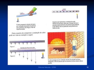 Ciências Naturais - ICRM 18
 