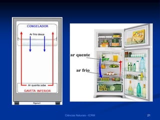 Ciências Naturais - ICRM 21
 