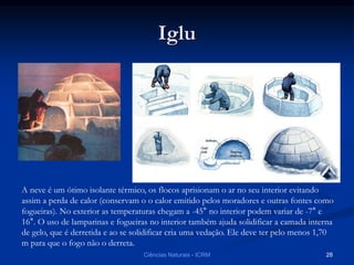 Iglu
A neve é um ótimo isolante térmico, os flocos aprisionam o ar no seu interior evitando
assim a perda de calor (conservam o o calor emitido pelos moradores e outras fontes como
fogueiras). No exterior as temperaturas chegam a -45° no interior podem variar de -7° e
16°. O uso de lamparinas e fogueiras no interior também ajuda solidificar a camada interna
de gelo, que é derretida e ao se solidificar cria uma vedação. Ele deve ter pelo menos 1,70
m para que o fogo não o derreta.
Ciências Naturais - ICRM 28
 