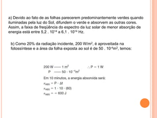 a) Devido ao fato de as folhas parecerem predominantemente verdes quando
iluminadas pela luz do Sol, difundem o verde e absorvem as outras cores.
Assim, a faixa de freqüência do espectro da luz solar de menor absorção de
energia está entre 5,2 . 1014 a 6,1 . 1014 Hz.
b) Como 20% da radiação incidente, 200 W/m2, é aproveitada na
fotossíntese e a área da folha exposta ao sol é de 50 . 10-4m2, temos:
 