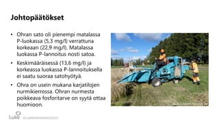 Johtopäätökset
• Ohran sato oli pienempi matalassa
P-luokassa (5,3 mg/l) verrattuna
korkeaan (22,9 mg/l). Matalassa
luokassa P-lannoitus nosti satoa.
• Keskimääräisessä (13,6 mg/l) ja
korkeassa luokassa P-lannoituksella
ei saatu suoraa satohyötyä.
• Ohra on usein mukana karjatilojen
nurmikierrossa. Ohran nurmesta
poikkeava fosforitarve on syytä ottaa
huomioon. Kuva: Juliana Roivainen/Luke
 