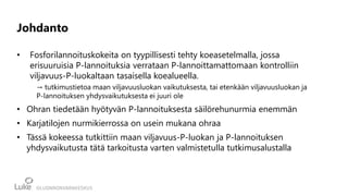 Johdanto
• Fosforilannoituskokeita on tyypillisesti tehty koeasetelmalla, jossa
erisuuruisia P-lannoituksia verrataan P-lannoittamattomaan kontrolliin
viljavuus-P-luokaltaan tasaisella koealueella.
→ tutkimustietoa maan viljavuusluokan vaikutuksesta, tai etenkään viljavuusluokan ja
P-lannoituksen yhdysvaikutuksesta ei juuri ole
• Ohran tiedetään hyötyvän P-lannoituksesta säilörehunurmia enemmän
• Karjatilojen nurmikierrossa on usein mukana ohraa
• Tässä kokeessa tutkittiin maan viljavuus-P-luokan ja P-lannoituksen
yhdysvaikutusta tätä tarkoitusta varten valmistetulla tutkimusalustalla
Kuva: Juliana Roivainen/Luke
 