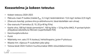 Koeasetelma ja kokeen toteutus
• Kokeen toteutus 2020–2023
• Pääruutu maan P-luokka (matala PAAC 5,3 mg/l, keskimääräinen 13,6 mg/l, korkea 22,9 mg/l)
• [Osaruutu kasvilaji, puitava ohra ja säilörehunurmi, tässä käsitellään vain ohraa]
• Osa-osaruutu P-lannoitus (0, 10, 20 ja 40 kg P/ha)
• Kaarle-ohra, 500 kpl itävää siementä/m2, 100 kg N/ha + 53 kg K/ha (NK2), P-portaat kylvön
yhteydessä sekoitettuna NK2:een (superfosfaatti P20)
• Kasvinsuojeluruiskutus
• Puinti
• Määritetty mm. sato (15 % kosteus), hehtolitrapaino, jyvien P-pitoisuus
• Maasta mm. viljavuus-P ruuduittain joka syksy
• Tulossa kevät 2024: Fosforin huuhtoumakoe SIMU-olosuhdekammiossa
 