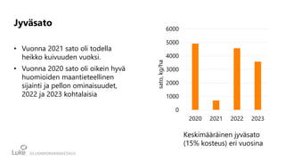 Jyväsato
• Vuonna 2021 sato oli todella
heikko kuivuuden vuoksi.
• Vuonna 2020 sato oli oikein hyvä
huomioiden maantieteellinen
sijainti ja pellon ominaisuudet,
2022 ja 2023 kohtalaisia
0
1000
2000
3000
4000
5000
6000
2020 2021 2022 2023
sato,
kg/ha
Keskimääräinen jyväsato
(15% kosteus) eri vuosina
 