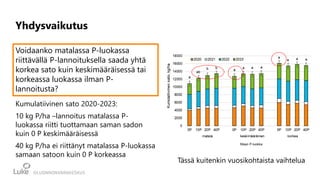 Yhdysvaikutus
Voidaanko matalassa P-luokassa
riittävällä P-lannoituksella saada yhtä
korkea sato kuin keskimääräisessä tai
korkeassa luokassa ilman P-
lannoitusta?
Maan P-luokka
Kumulatiivinen sato 2020-2023:
10 kg P/ha –lannoitus matalassa P-
luokassa riitti tuottamaan saman sadon
kuin 0 P keskimääräisessä
40 kg P/ha ei riittänyt matalassa P-luokassa
samaan satoon kuin 0 P korkeassa
Tässä kuitenkin vuosikohtaista vaihtelua
 