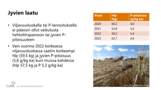 Jyvien laatu
• Viljavuusluokalla tai P-lannoituksella
ei pääosin ollut vaikutusta
hehtolitrapainoon tai jyvien P-
pitoisuuteen
• Vain vuonna 2022 korkeassa
viljavuusluokassa saatiin korkeampi
hlp (59,5 kg) ja jyvien P-pitoisuus
(5,6 g/kg ka) kuin muissa kahdessa
(hlp 57,5 kg ja P 5,3 g/kg ka)
Vuosi Hlp
(kg)
P-pitoisuus
(g/kg ka)
2020 60,2 4,0
2021 52,8 5,6
2022 58,2 5,4
2023 62,7 4,6
Kuva: Juliana Roivainen/Luke
 